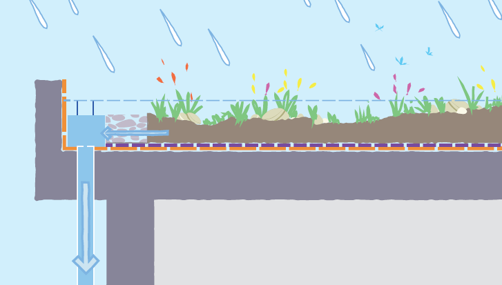 Blue and green roofs are important in highly urbanised areas where the footprint of a development can be taken up entirely by roofed areas.